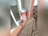 Ma-Cabane - Location Appartement Villiers-sur-Orge, 26 m²