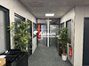 Ma-Cabane - Location Divers Saint-Genis-Laval, 213 m²