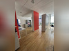 Ma-Cabane - Location Divers Strasbourg, 251 m²