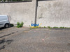 Ma-Cabane - Location Divers VITRY-SUR-SEINE, 0 m²