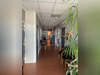 Ma-Cabane - Location Local commercial ALBI, 182 m²