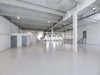 Ma-Cabane - Location Local commercial Aubervilliers, 519 m²
