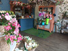 Ma-Cabane - Location Local commercial Cambes, 45 m²