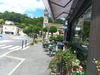 Ma-Cabane - Location Local commercial Cambes, 45 m²