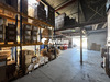 Ma-Cabane - Location Local commercial Champigny-sur-Marne, 664 m²