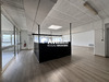 Ma-Cabane - Location Local commercial Chelles, 272 m²