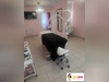 Ma-Cabane - Location Local commercial Maing, 31 m²