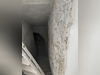 Ma-Cabane - Location Local commercial MARSEILLE 2, 52 m²