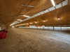 Ma-Cabane - Location Local commercial Mauléon, 800 m²