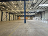Ma-Cabane - Location Local commercial Mortagne-sur-Sèvre, 4630 m²