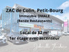 Ma-Cabane - Location Local commercial PETIT BOURG, 82 m²