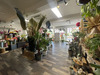Ma-Cabane - Location Local commercial PLAN DE CUQUES, 90 m²