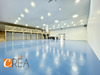 Ma-Cabane - Location Local commercial Ruelisheim, 480 m²
