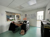 Ma-Cabane - Location Local commercial Saint-Aubin-du-Cormier, 240 m²