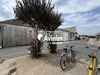 Ma-Cabane - Location Local commercial Sainte-Marie-de-Ré, 200 m²