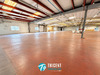 Ma-Cabane - Location Local commercial Soufflenheim, 343 m²