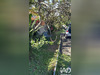 Ma-Cabane - Location Maison Baie-Mahault, 71 m²