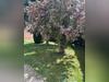 Ma-Cabane - Location Maison BAPAUME, 50 m²