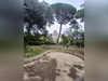 Ma-Cabane - Location Maison BEZIERS, 338 m²