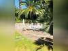 Ma-Cabane - Location Maison Cannes, 250 m²