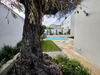 Ma-Cabane - Location Maison CASTELNAU-LE-LEZ, 139 m²