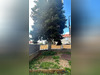 Ma-Cabane - Location Maison Cusset, 82 m²
