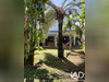 Ma-Cabane - Location Maison L'Étang-Salé, 85 m²