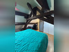 Ma-Cabane - Location Maison MERCUREY, 88 m²