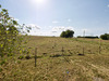 Ma-Cabane - Location Maison MONCLAR, 72 m²