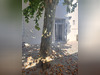 Ma-Cabane - Location Maison PEYPIN, 73 m²