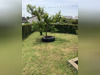 Ma-Cabane - Location Maison PICAUVILLE, 85 m²