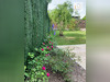 Ma-Cabane - Location Maison SAINT-JUST-LE-MARTEL, 51 m²