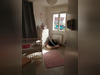 Ma-Cabane - Location Maison YVOY-LE-MARRON, 88 m²