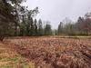 Ma-Cabane - Location Terrain SAULNY, 3 m²