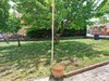 Ma-Cabane - Neuf Maison TAULIGNAN, 80 m²