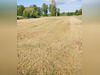 Ma-Cabane - Neuf Terrain EYRANS, 1257 m²