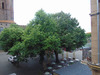 Ma-Cabane - Vente Appartement AGDE, 41 m²