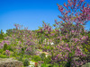 Ma-Cabane - Vente Appartement AIX-EN-PROVENCE, 60 m²