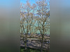 Ma-Cabane - Vente Appartement ANNECY, 43 m²