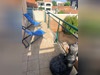 Ma-Cabane - Vente Appartement ARCACHON, 42 m²