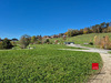 Ma-Cabane - Vente Appartement Argonay, 67 m²