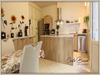 Ma-Cabane - Vente Appartement ARLES SUR TECH, 130 m²