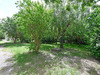 Ma-Cabane - Vente Appartement AVIGNON, 66 m²