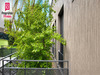 Ma-Cabane - Vente Appartement BAGNOLET, 49 m²