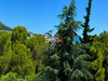 Ma-Cabane - Vente Appartement Banyuls-sur-Mer, 55 m²