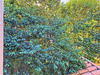 Ma-Cabane - Vente Appartement Bedarieux, 33 m²