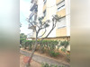 Ma-Cabane - Vente Appartement BEZIERS, 60 m²