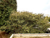 Ma-Cabane - Vente Appartement BIHOREL, 78 m²