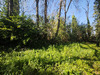 Ma-Cabane - Vente Appartement BORDEAUX, 72 m²