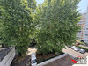 Ma-Cabane - Vente Appartement Bordeaux, 68 m²